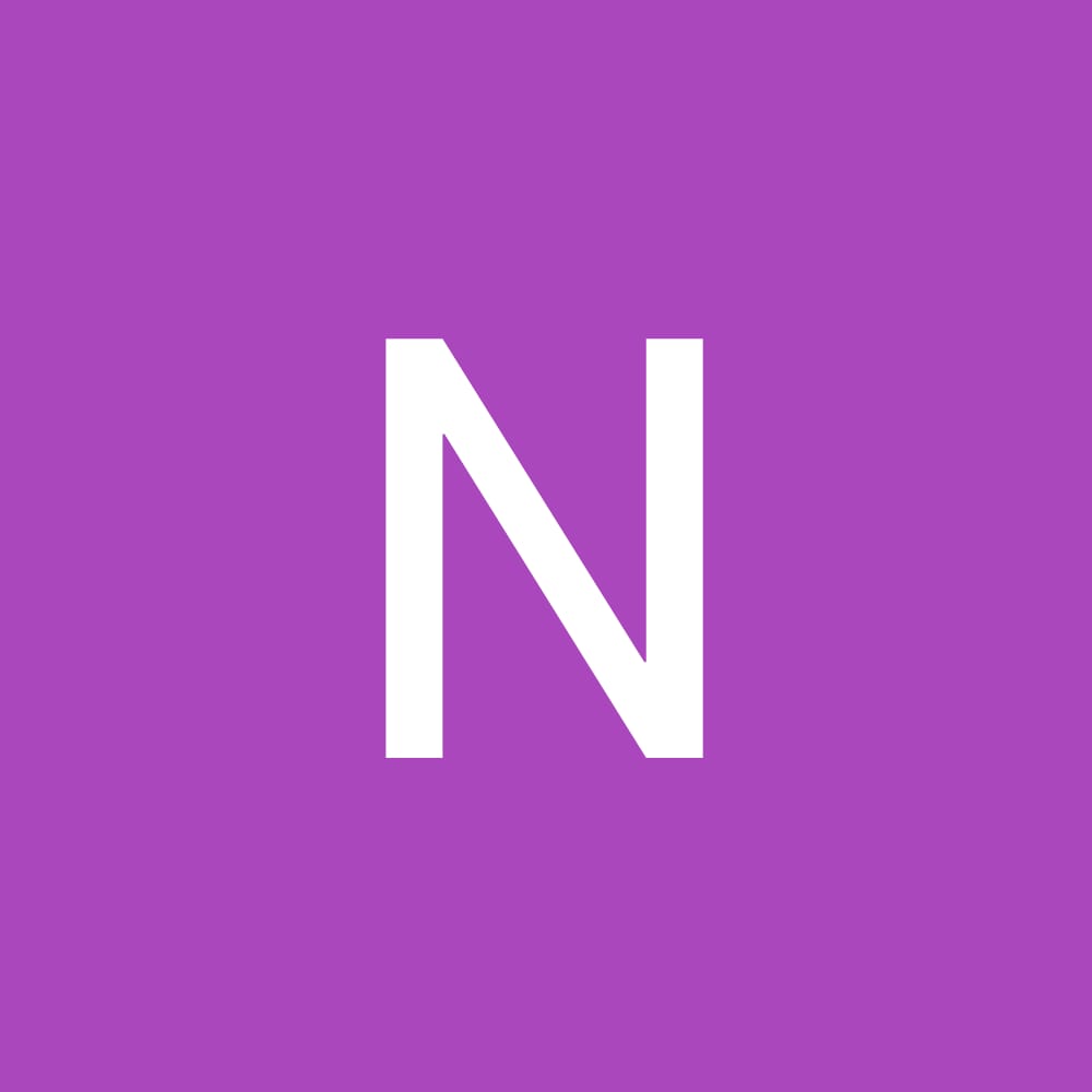 profile picture for: Niklas Rodler