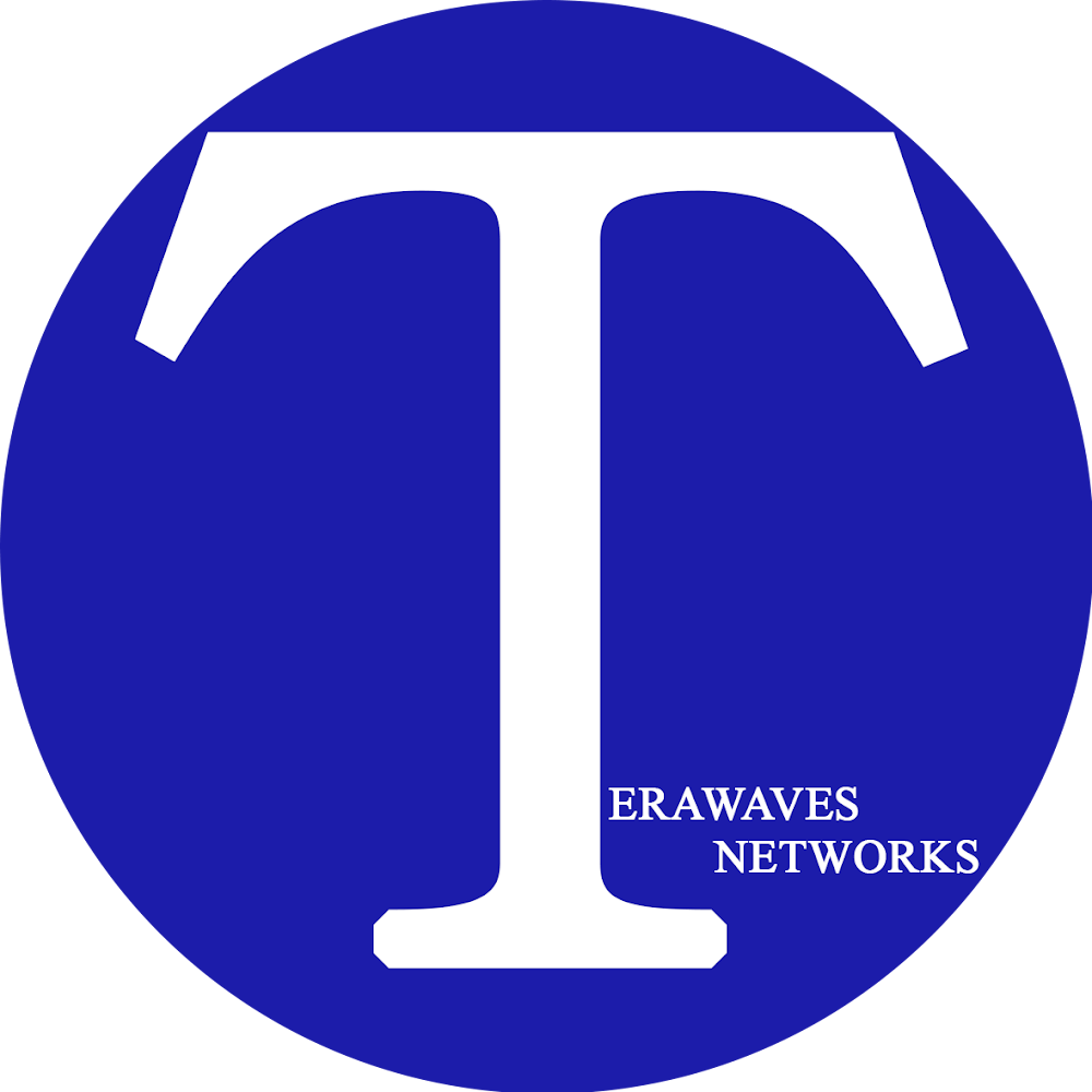 terawavesnetworks