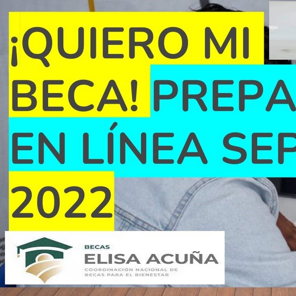 prepalinea4040