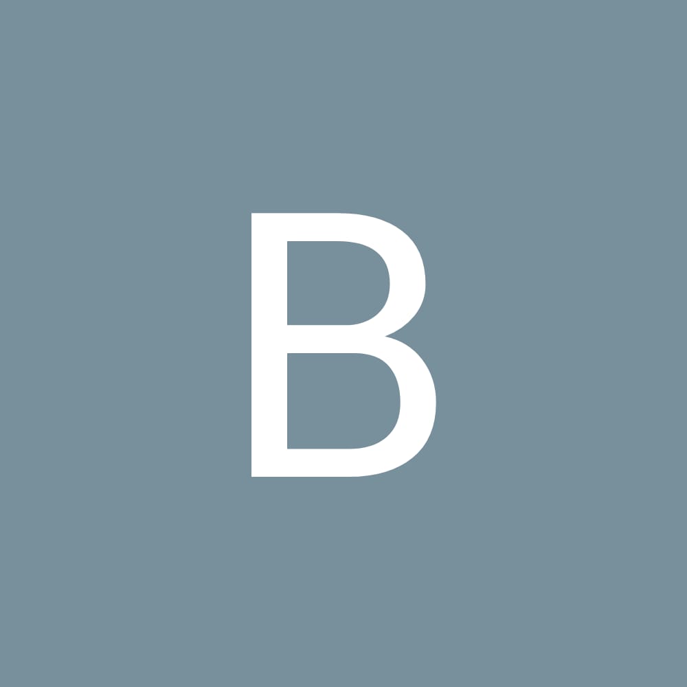 Bibie profile pic