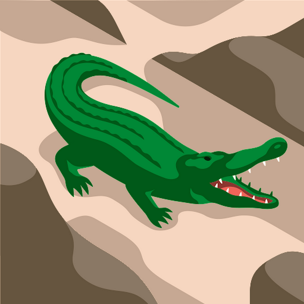 Charlotte Sladek profile picture