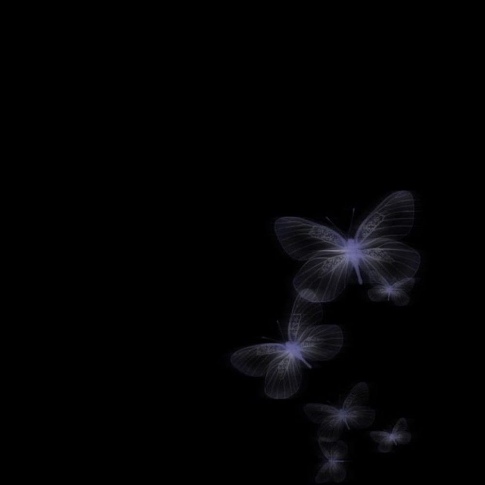 Amna Iqbal profile picture