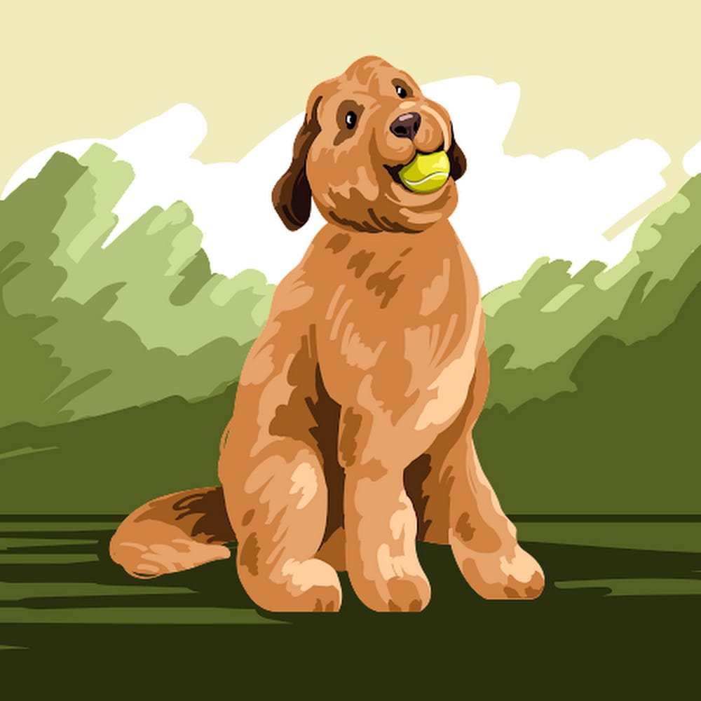 Charlie profile pic