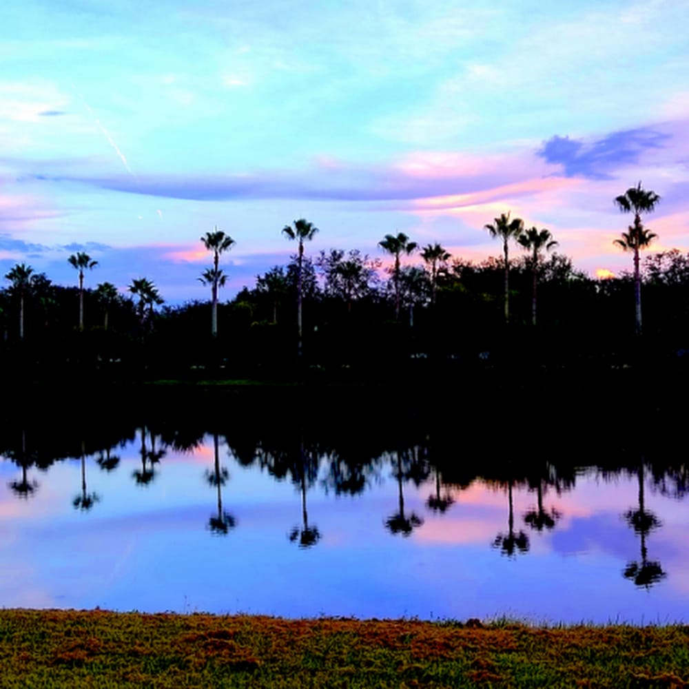 Aayudesh Kaparthi profile picture