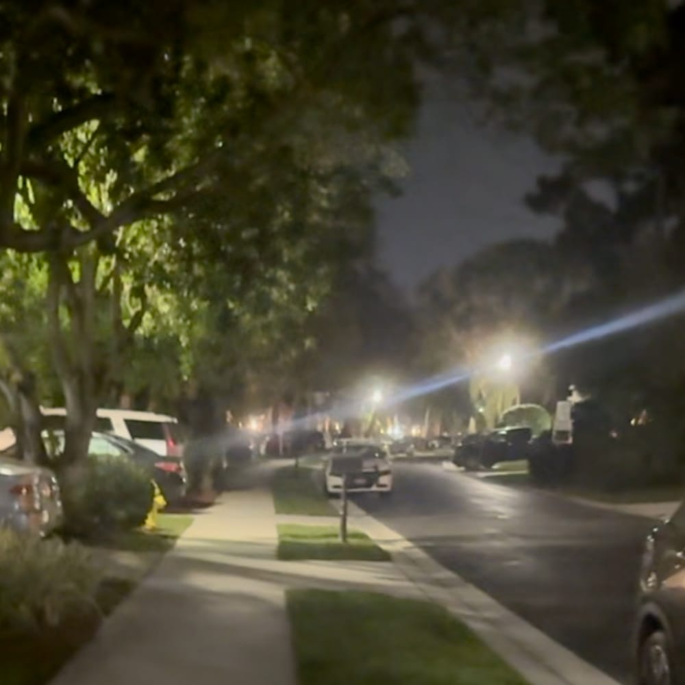 Ethan Ahmed profile picture