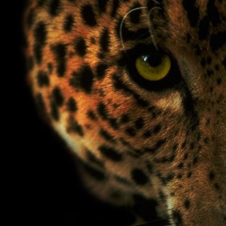 profile picture for: David Seda