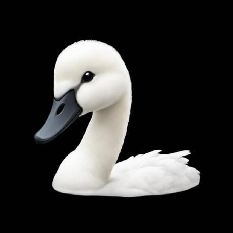 Miki Suzuki profile picture