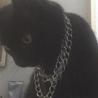 Hemant C profile picture