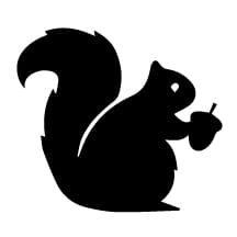 Picture of titansquirrel